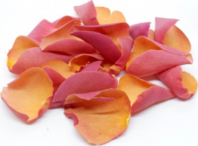 Burnt Orange Rose Petals